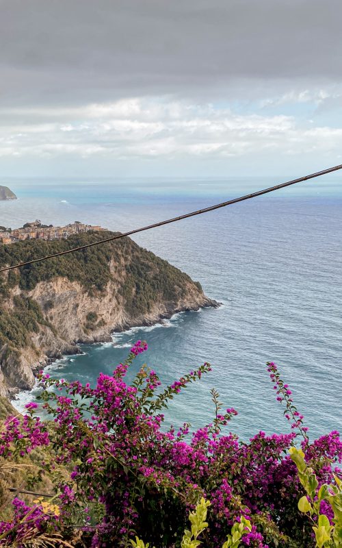 CORNIGLIA'S TOPOGRAPHY