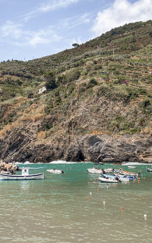 BOATS OF VERNAZZA